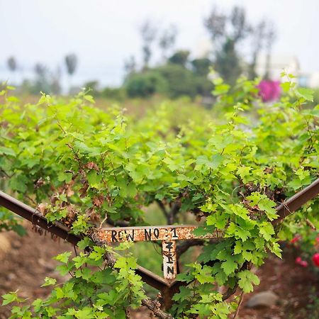 V Resorts Soma Vine Village Mahiravani Exterior photo